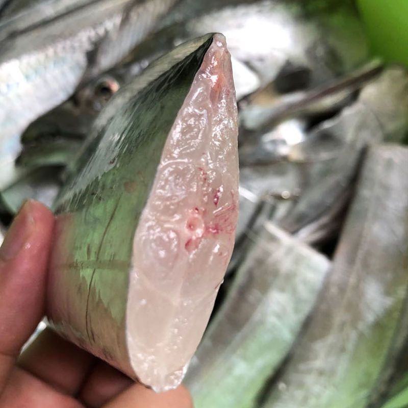舟山小眼带鱼新鲜整条冷冻东海刀鱼大海鲜特产鲜活新鲜水产