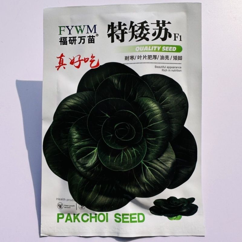 特矮苏甜矮脚青梗菜菜种子高产耐寒耐冻黑亮趴地苏州青黑束腰