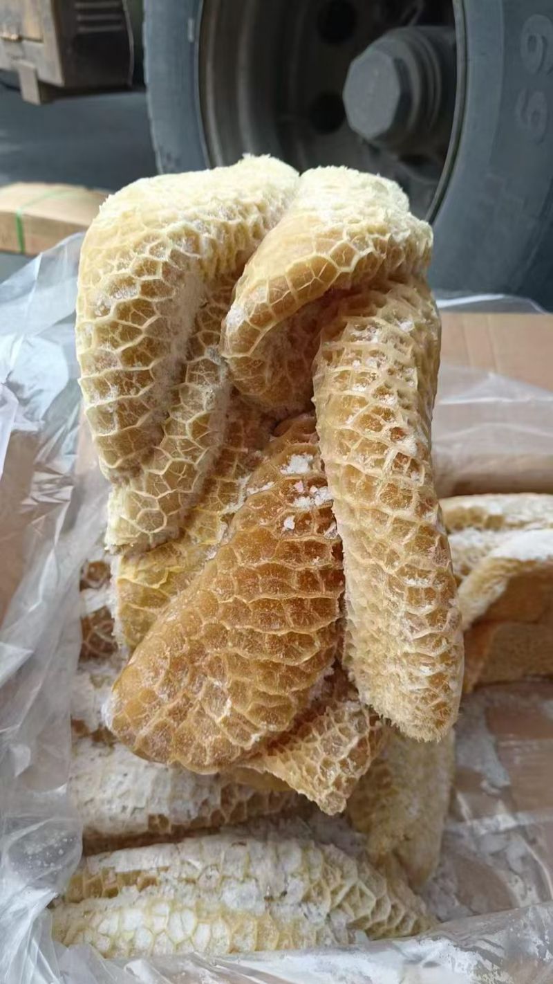 金钱肚来喽！金钱肚客户现场看货实拍！