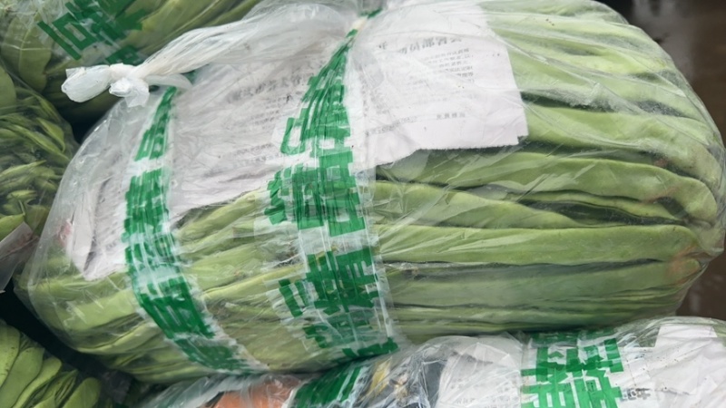 河北邯郸南大堡蔬菜市场，精品豆王，量大价优