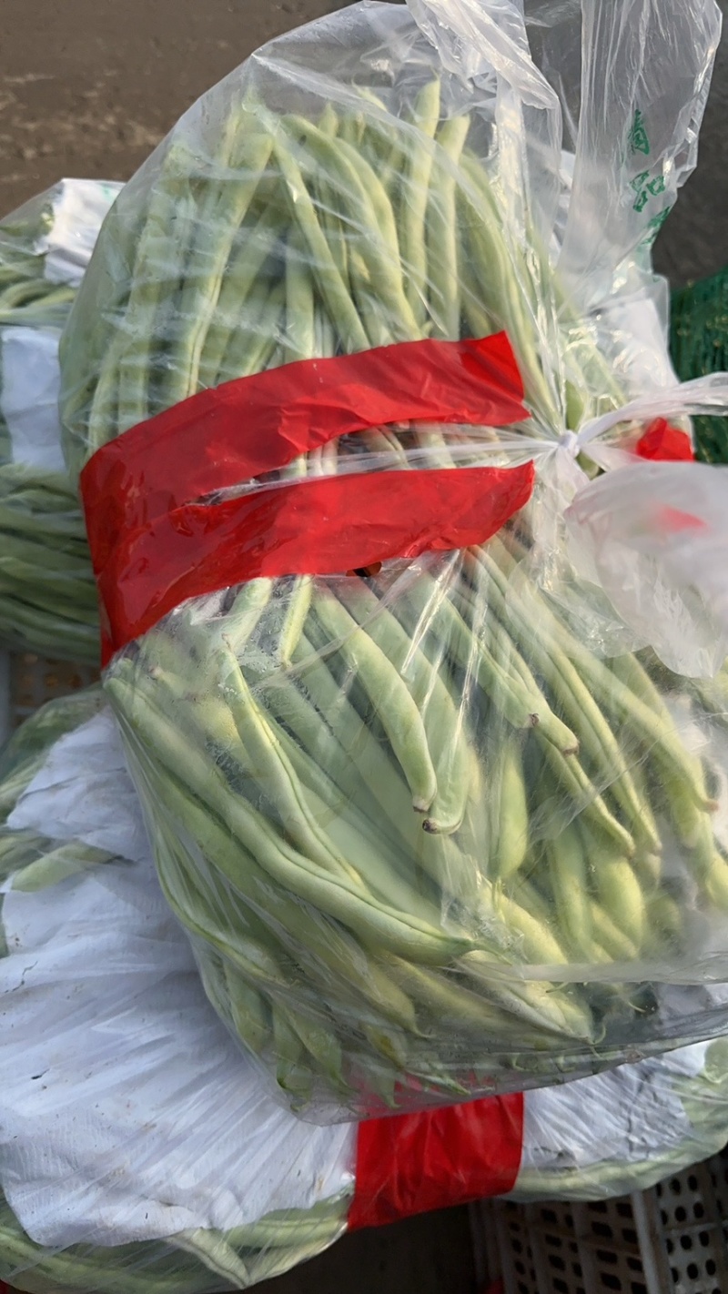 河北邯郸南大堡蔬菜市场，精品豆王，量大价优
