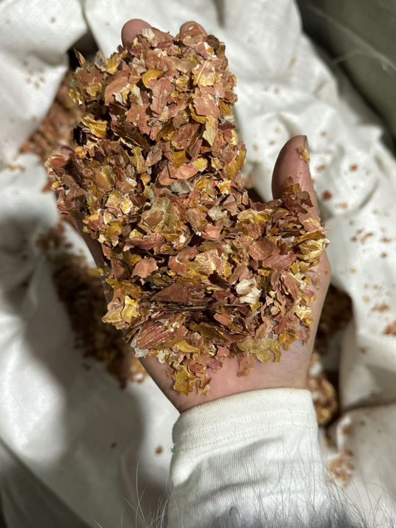 花生衣花生皮实拍发货如图现货干净