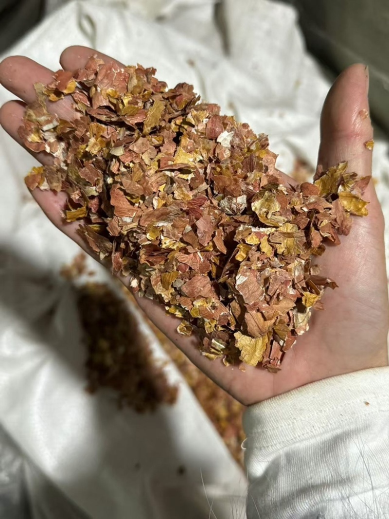 花生衣花生皮实拍发货如图现货干净
