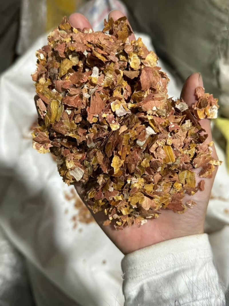 花生衣花生皮实拍发货如图现货干净
