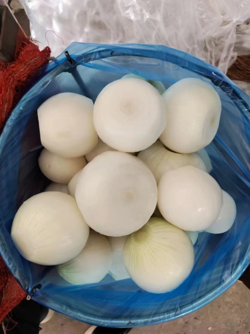 冷库到期，便宜处理黄皮洋葱，一手货源。山东金乡