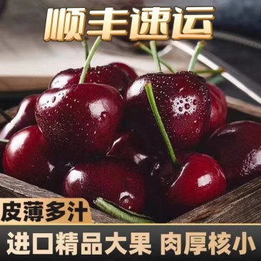 智利车厘子一件代发/淘宝/拼多多/京东/直播/全平台对接