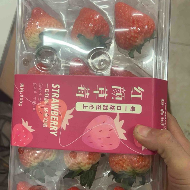 红颜草莓酸甜可口大量有货欢迎长期合作