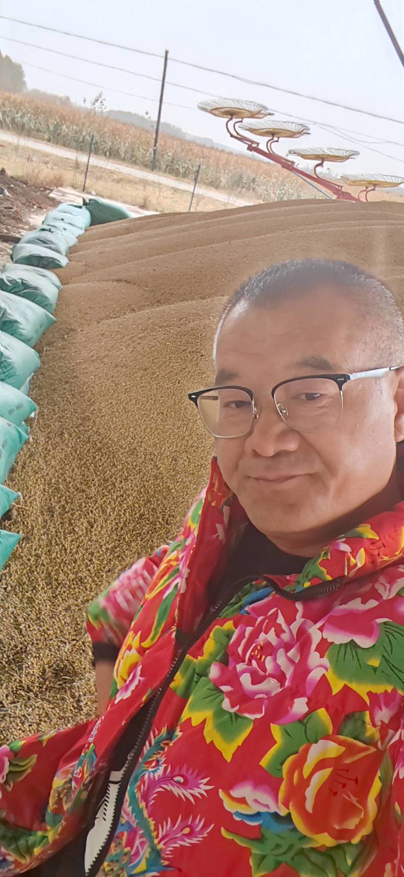 黑龙江自种高蛋白质大豆品质保证全国发货欢迎联系