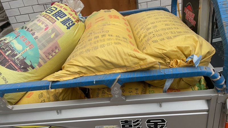 河北2年改良白术籽，保定货源货真价实，欢迎咨询采购