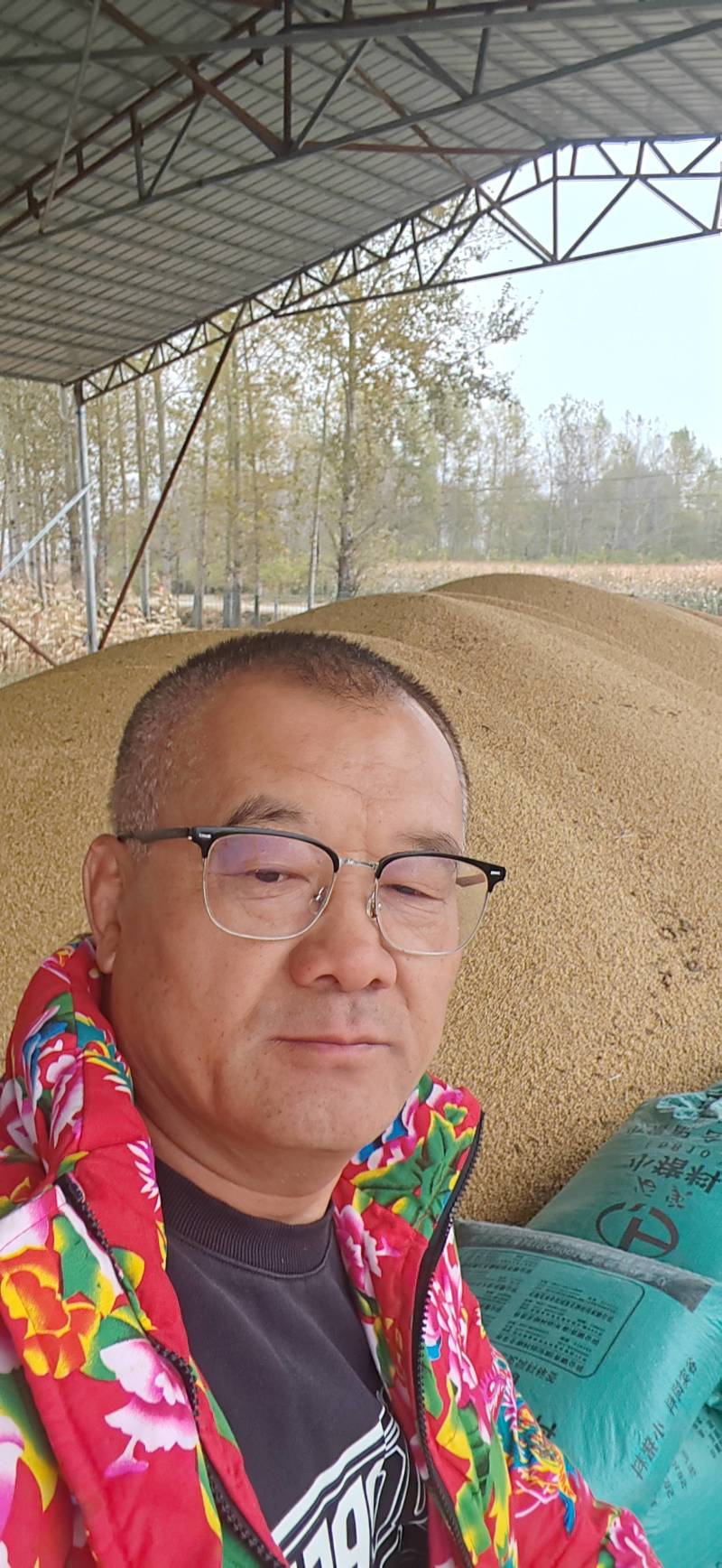黑龙江自种高蛋白质大豆品质保证全国发货欢迎联系