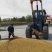 黑龙江自种高蛋白质大豆品质保证全国发货欢迎联系