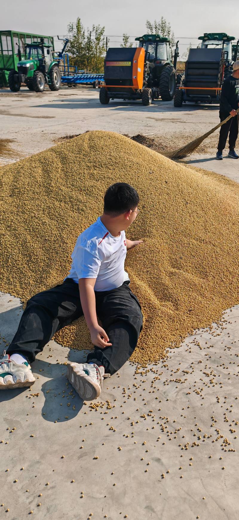 黑龙江自种高蛋白质大豆品质保证全国发货欢迎联系