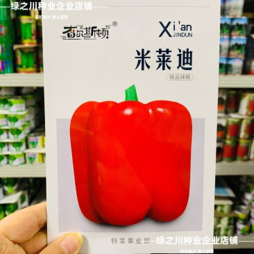 米莱迪红甜椒种子大果灯笼椒种子红色菜椒方灯笼形辣椒种子