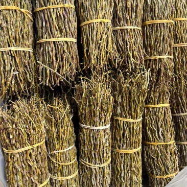 铁皮石斛捆条，长捆条，中捆条，短捆条，货源充足，量大价优