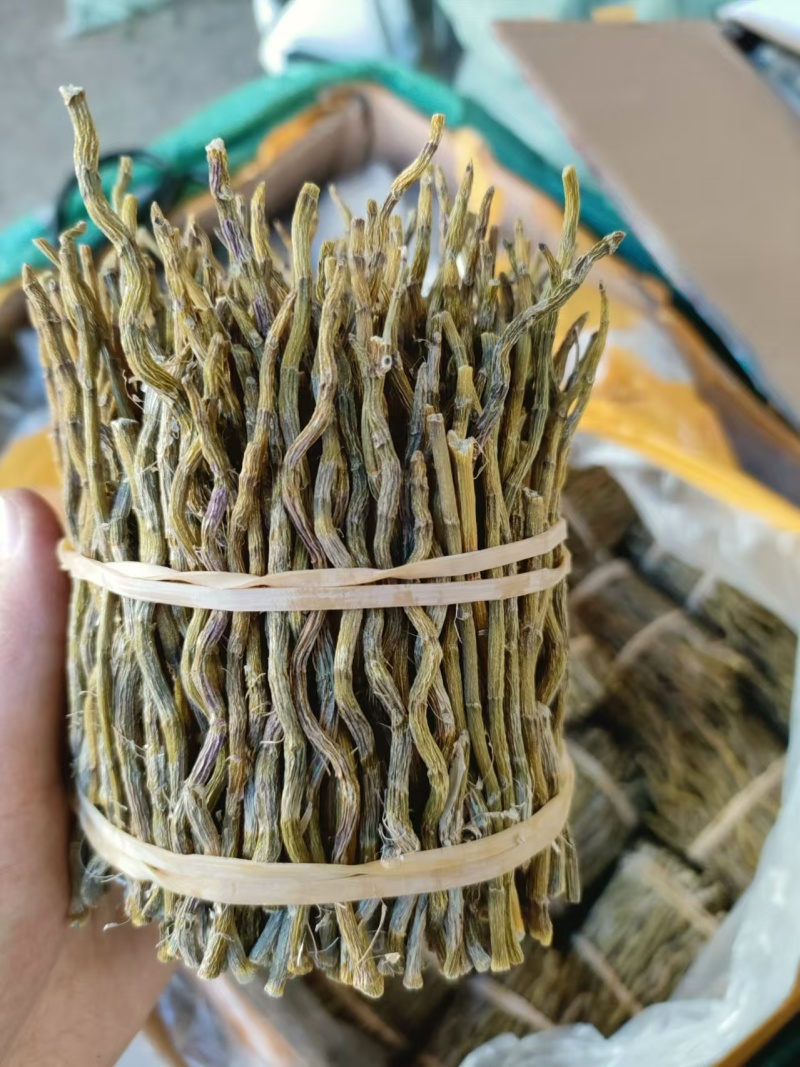 铁皮石斛捆条，长捆条，中捆条，短捆条，货源充足，量大价优