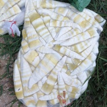 精品笋尾巴产地直发一手货源规格齐全可视频看货