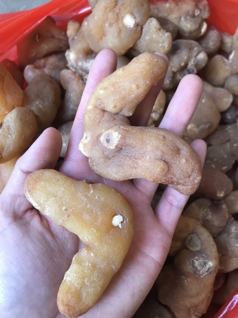 黄精滇黄精四川黄精云南黄精九蒸九晒