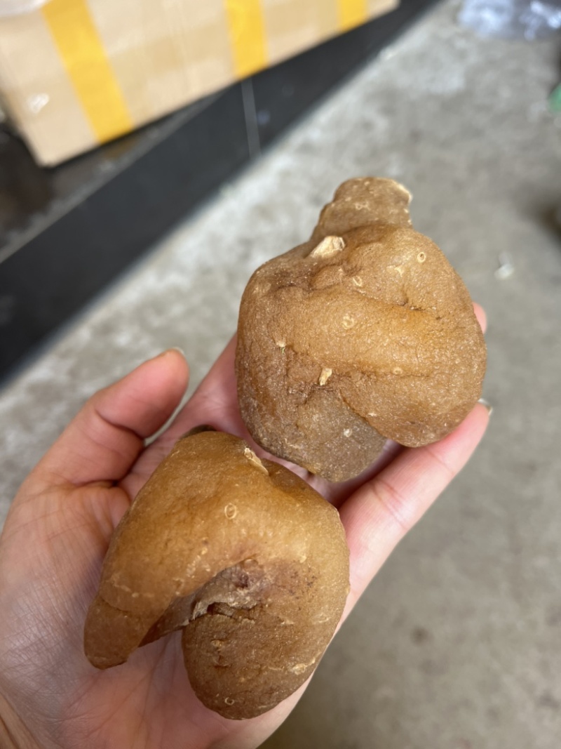 黄精滇黄精四川黄精云南黄精九蒸九晒