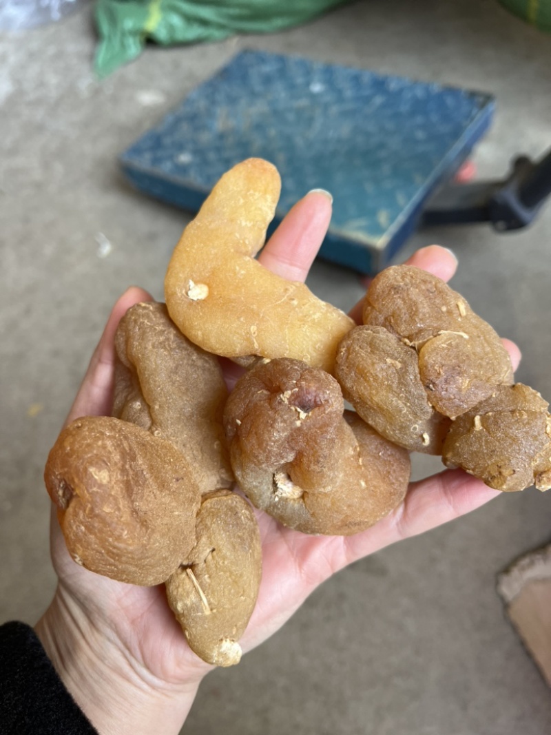 黄精滇黄精四川黄精云南黄精九蒸九晒