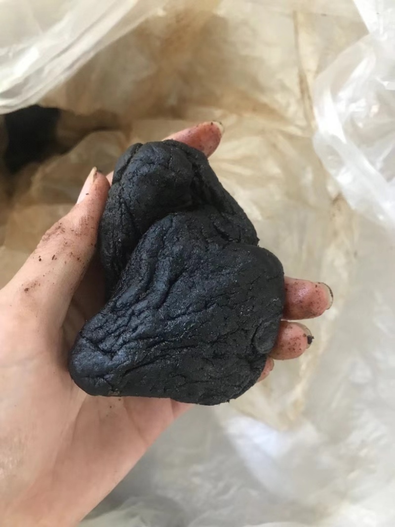 黄精滇黄精四川黄精云南黄精九蒸九晒