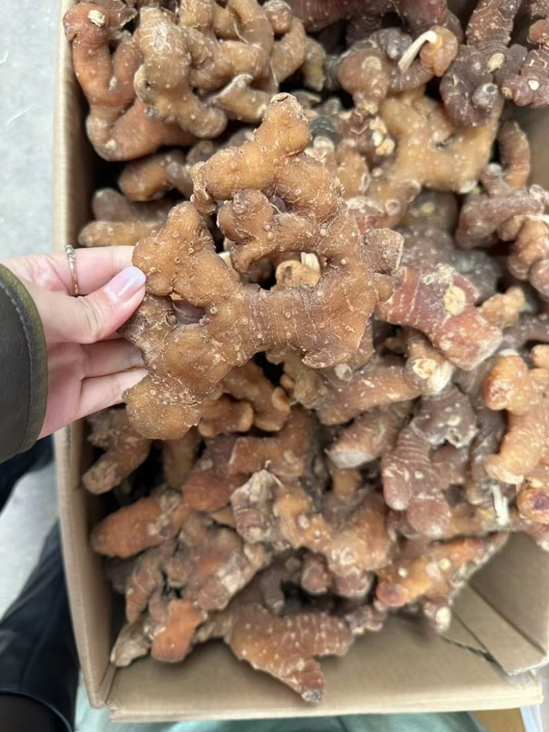 黄精滇黄精四川黄精云南黄精九蒸九晒