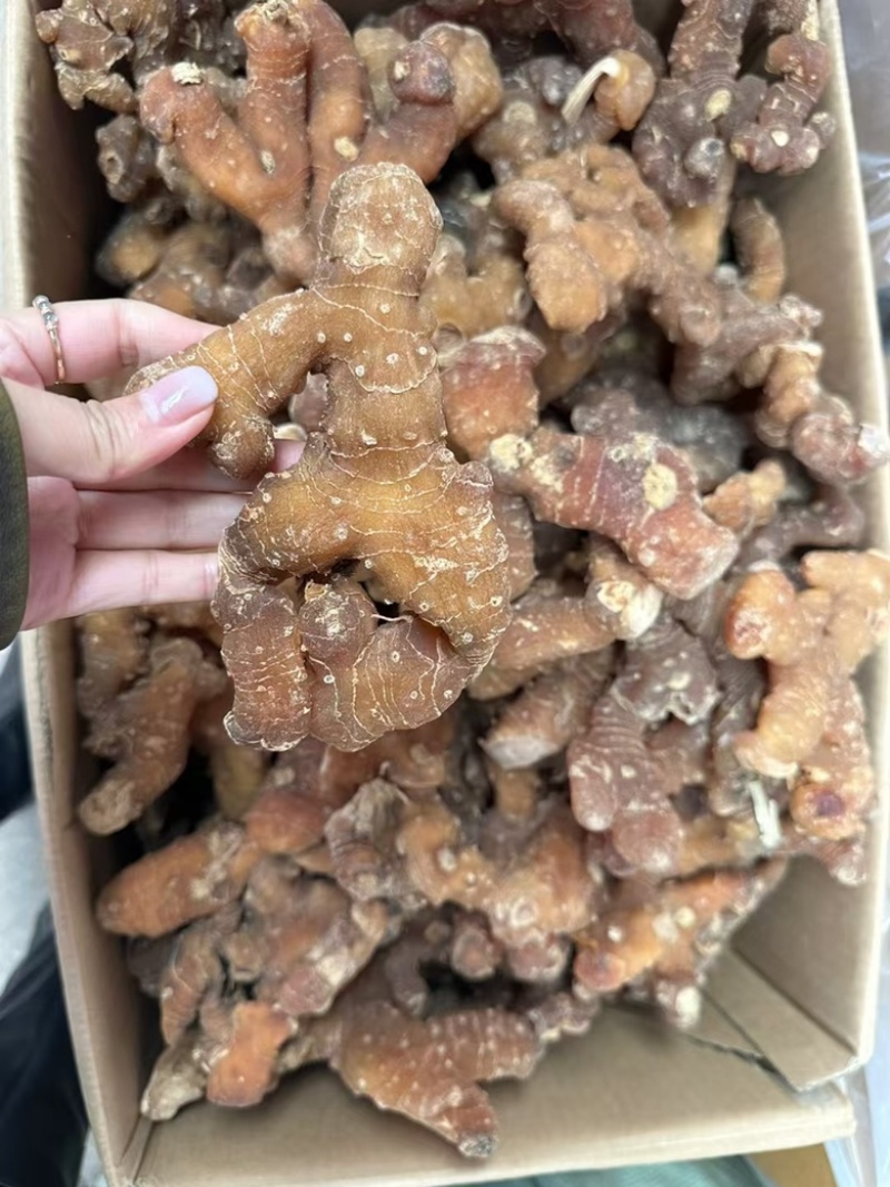 黄精滇黄精四川黄精云南黄精九蒸九晒
