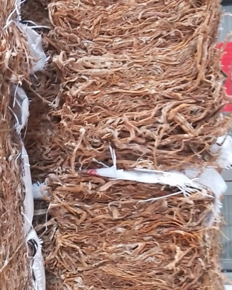 桑树根皮打包出售中