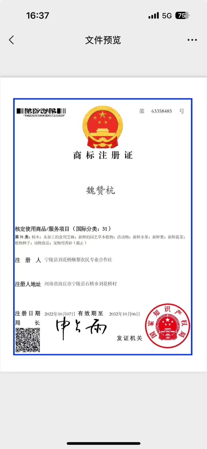 秋月梨