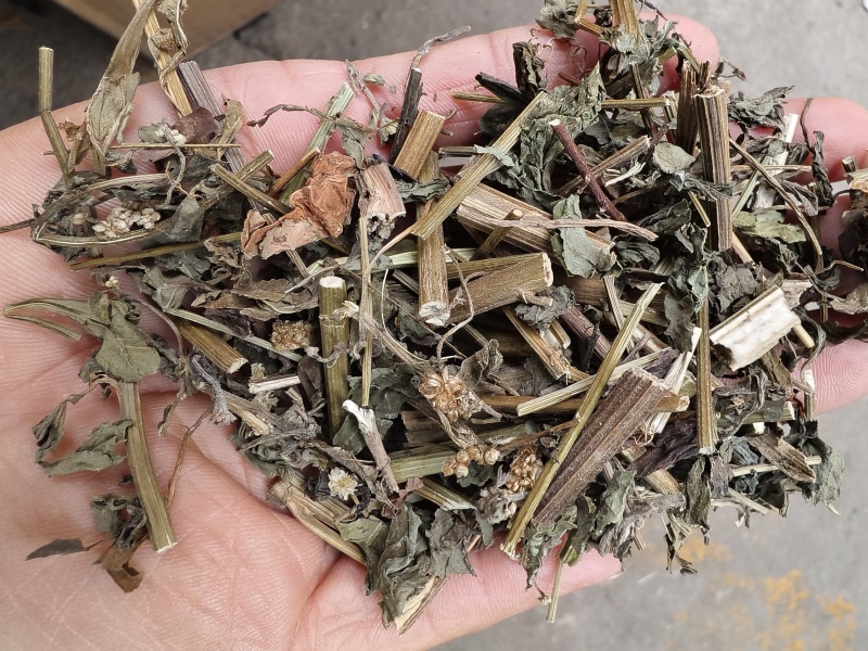 中草药稀签草新货豨签草无杂质