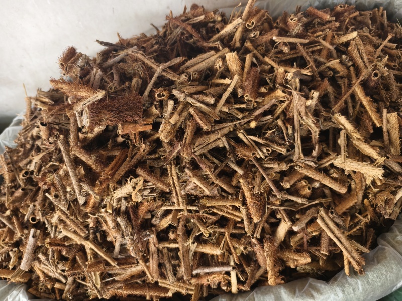 红毛刺五加刺五加皮抽芯刺五加