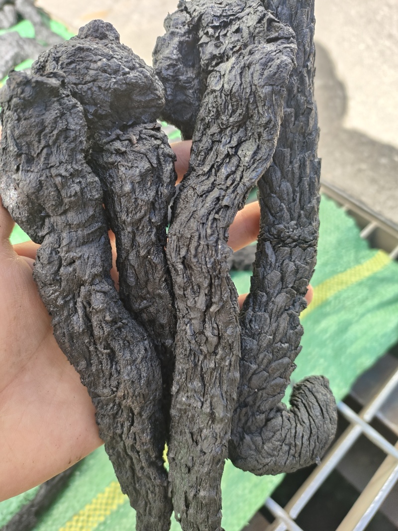 肉苁蓉，一手货源，质量保证，量大从优
