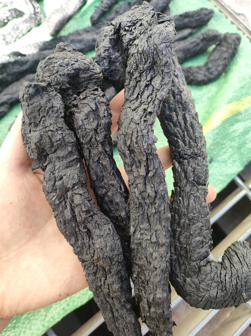 肉苁蓉，一手货源，质量保证，量大从优