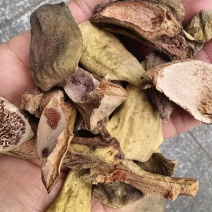 王不留行干货王不留行壳