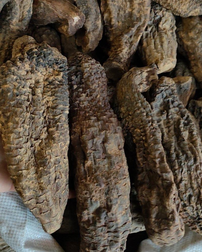 肉苁蓉，一手货源，质量保证，量大从优