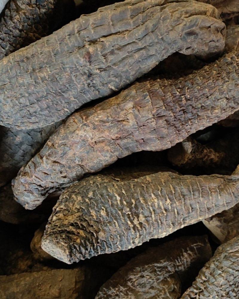 肉苁蓉，一手货源，质量保证，量大从优