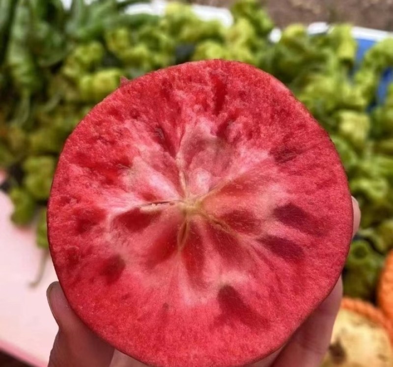 西藏苹果