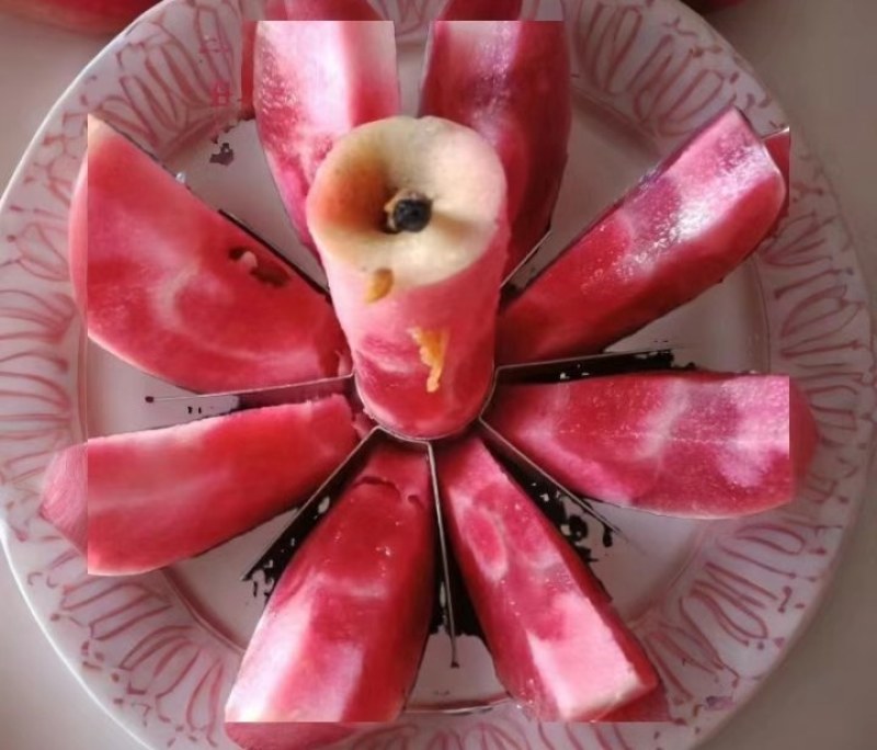 西藏苹果