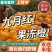 九月红脐橙