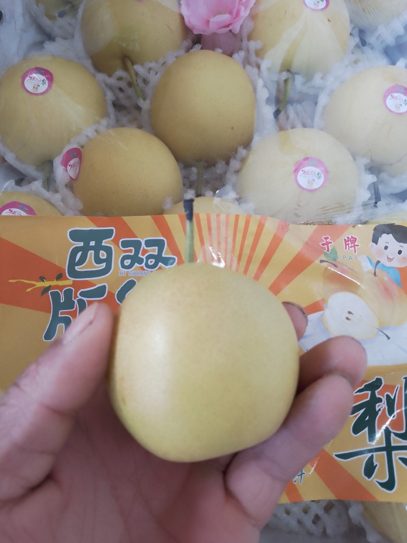 东北香水梨