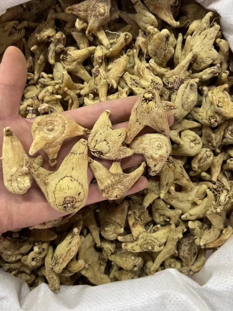 长期供应白芨个子，白芨片，质量保证，一手货源，量大价优
