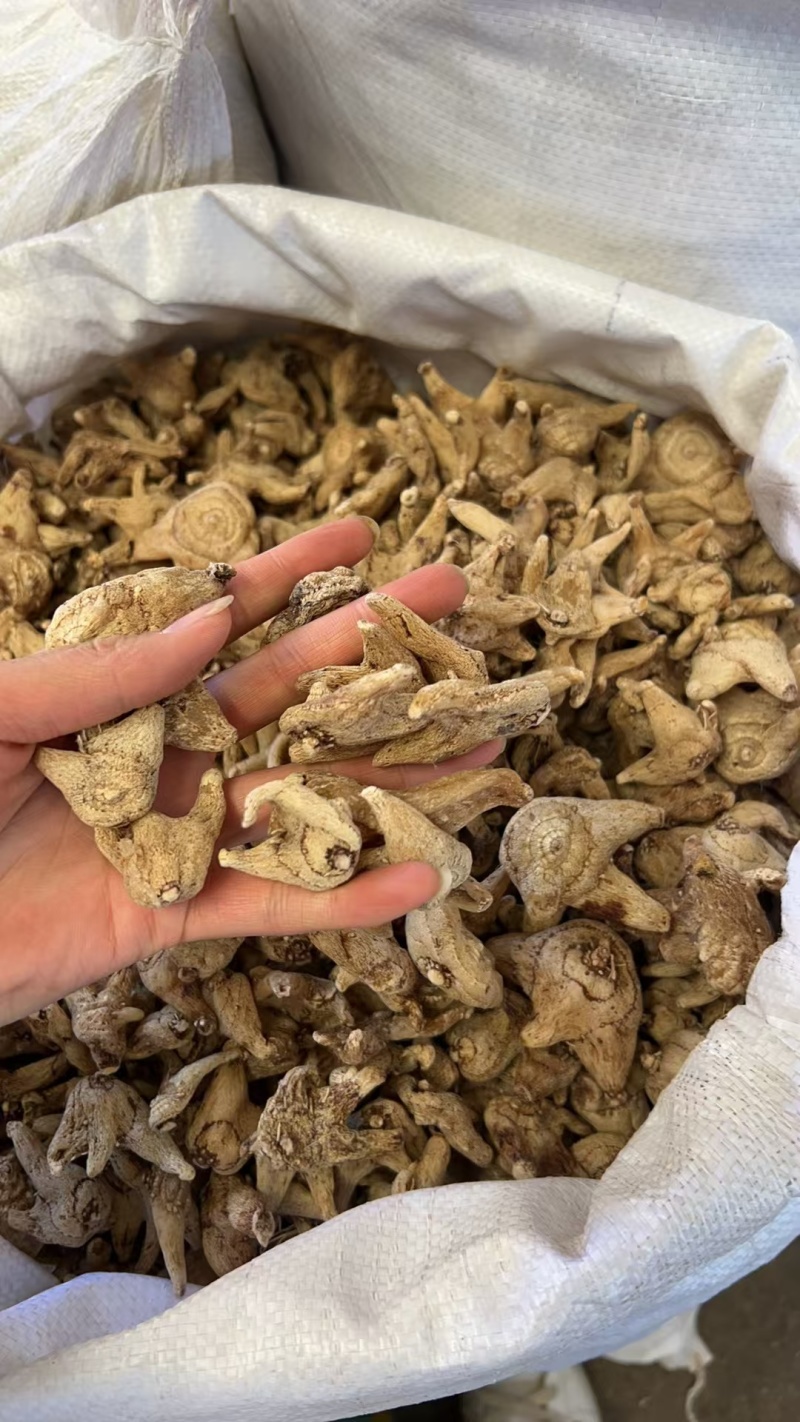 长期供应白芨个子，白芨片，质量保证，一手货源，量大价优