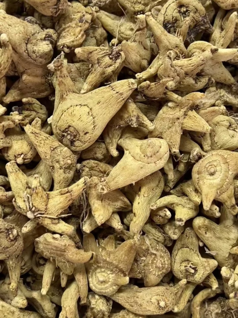 长期供应白芨个子，白芨片，质量保证，一手货源，量大价优