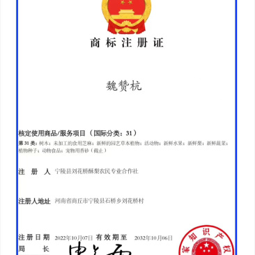 秋月梨.晚秋梨.酥梨.酥翠一号.翠冠.