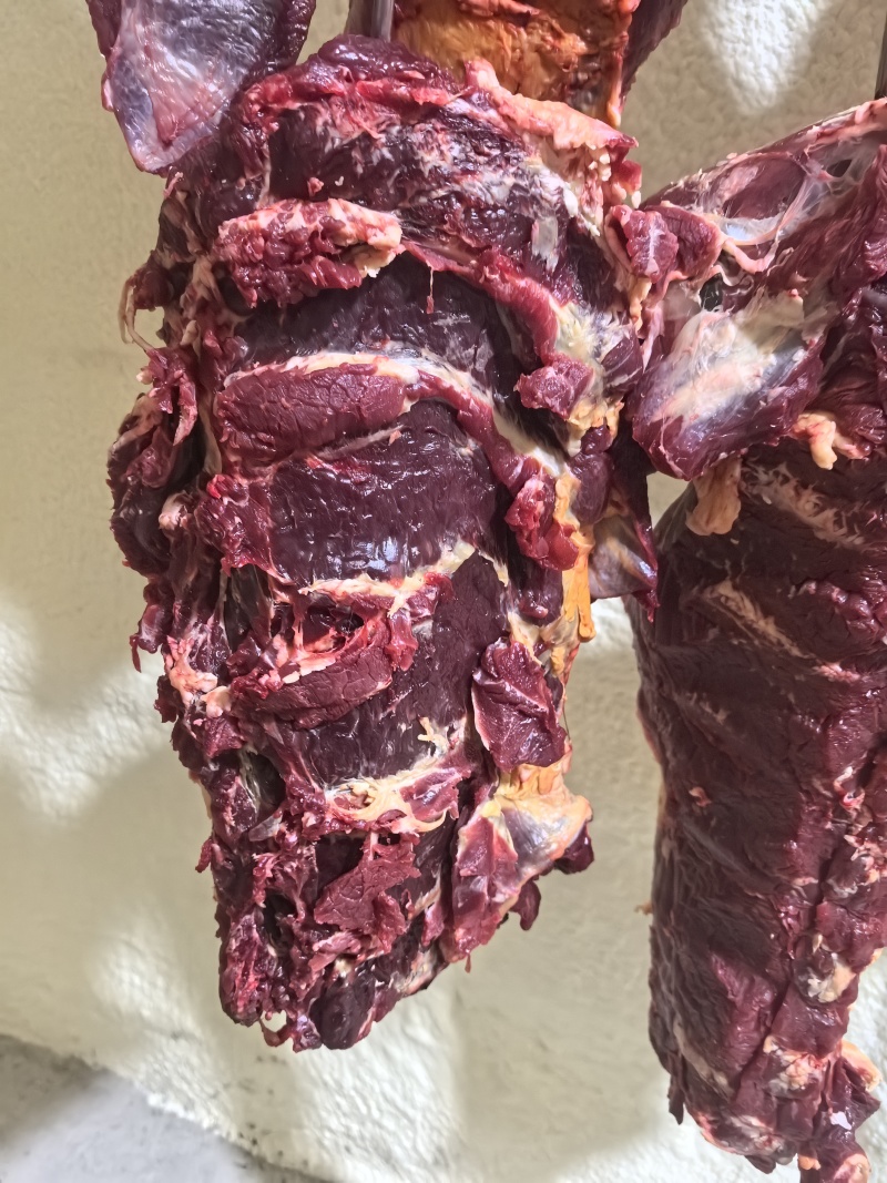厂家直销，大量批发鲜牛肉，无中间商。