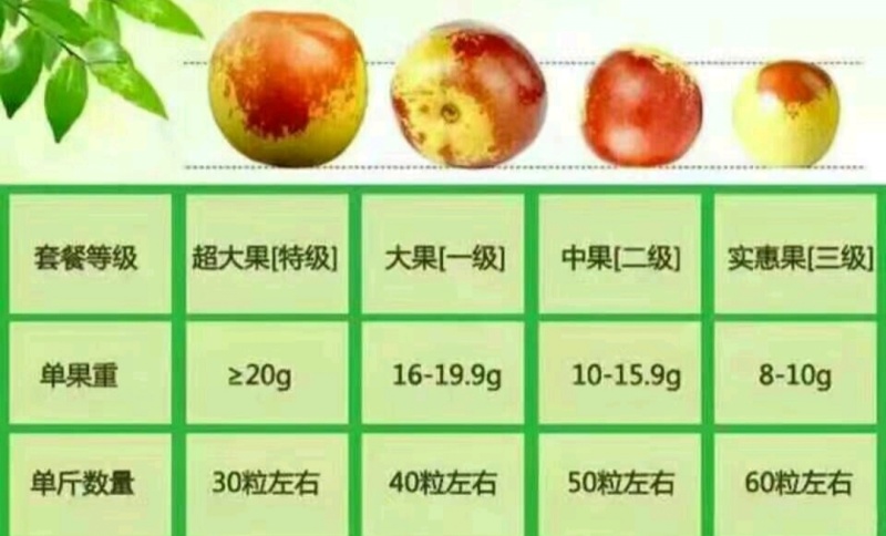 冬枣沾化冬枣甜脆枣产地直发量大从优全国发货