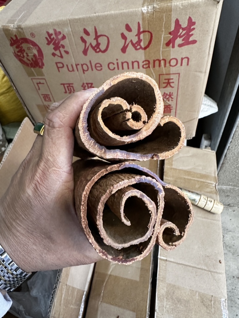 紫油桂