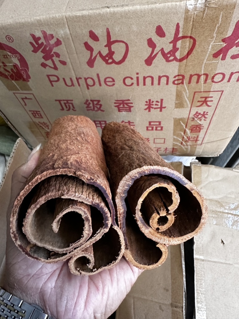 紫油桂