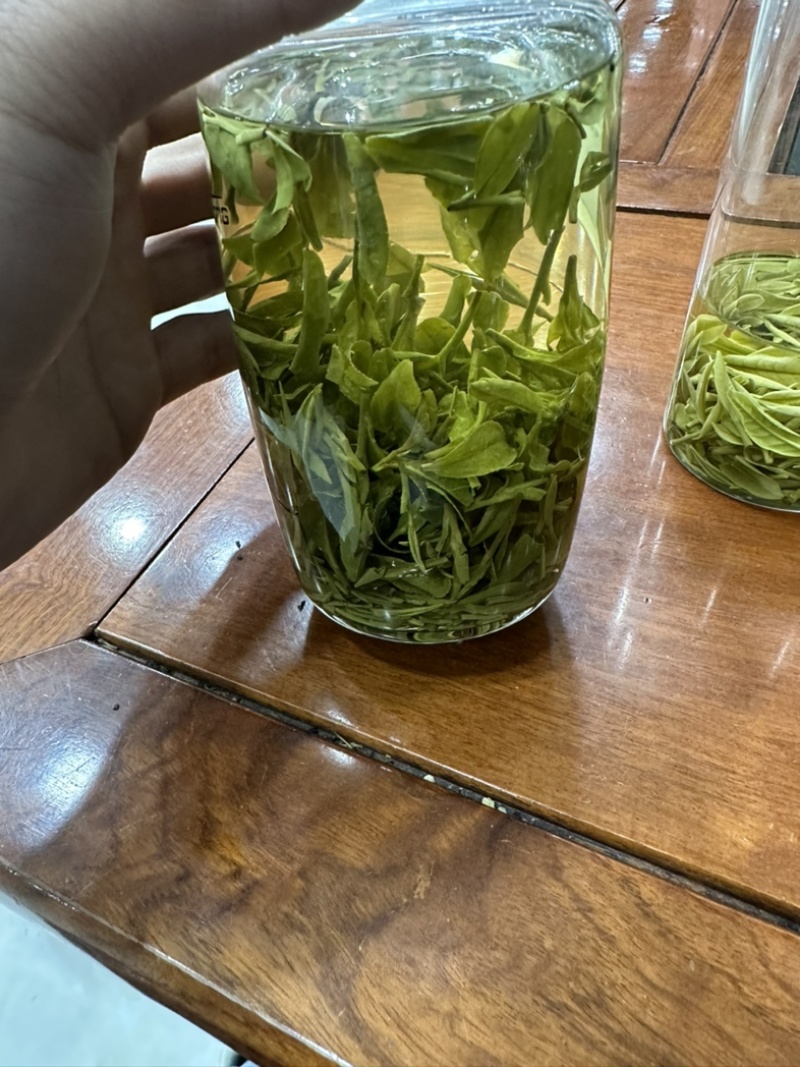 龙井茶浙江龙井茶绿茶2024年新茶