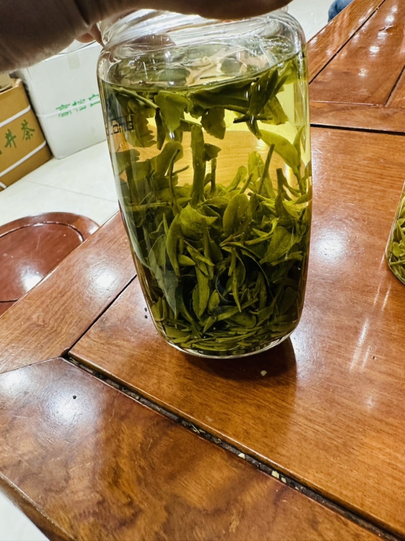 龙井茶浙江龙井茶绿茶2024年新茶