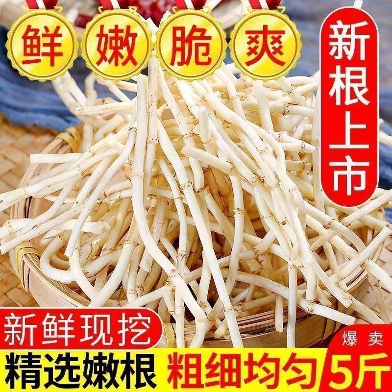 现挖新鲜鱼腥草折耳根侧耳根嫩根节节根下饭菜新鲜蔬菜包邮